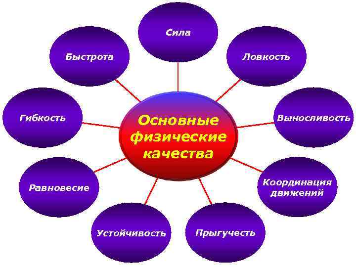 Дополните схему характеризующую основные физические качества человека