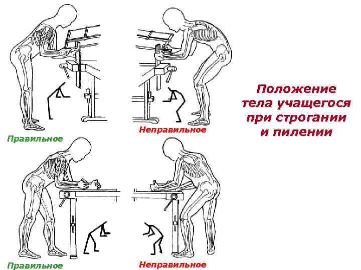 Сила положения тела