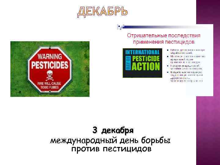 3 декабря международный день борьбы против пестицидов 