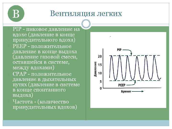 B Вентиляция легких PIP - пиковое давление на вдохе (давление в конце принудительного вдоха)