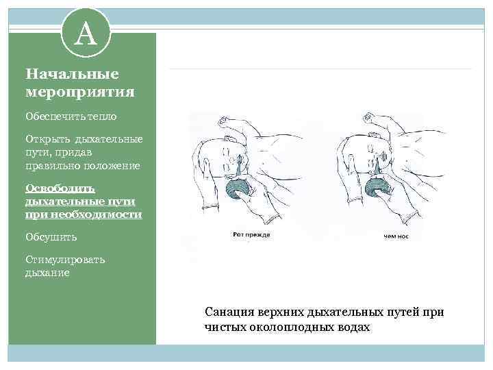 A Начальные мероприятия Обеспечить тепло Открыть дыхательные пути, придав правильно положение Освободить дыхательные пути