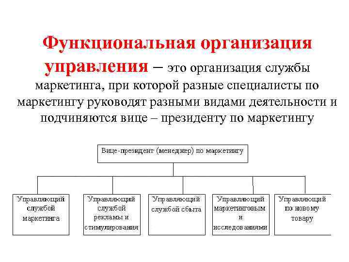 Функционально организационные группы. Организация службы маркетинга. Функциональная организация компьютера.