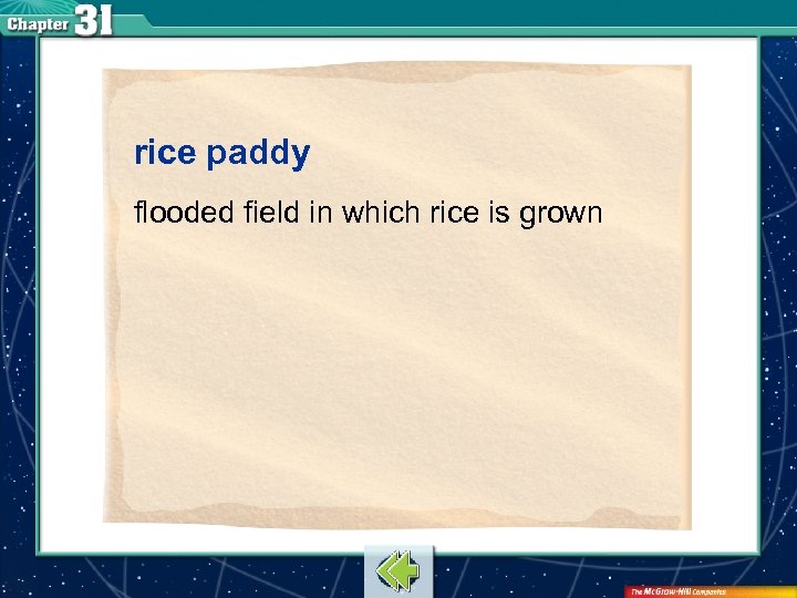 rice paddy flooded field in which rice is grown 