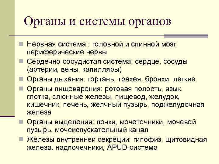 Органы и системы органов n Нервная система : головной и спинной мозг, n n