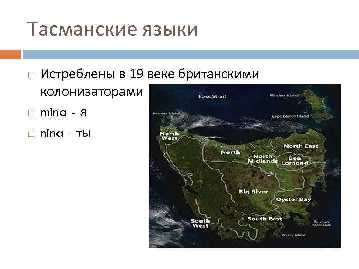 Тасманские языки Истреблены в 19 веке британскими колонизаторами mina - я nina - ты