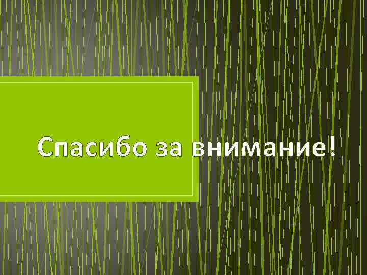 Спасибо за внимание! 