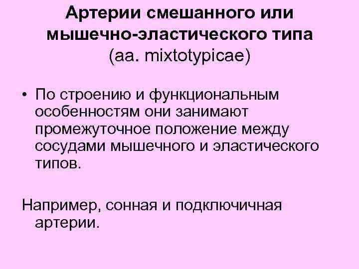 Артерии смешанного или мышечно-эластического типа (аа. mixtotypicae) • По строению и функциональным особенностям они