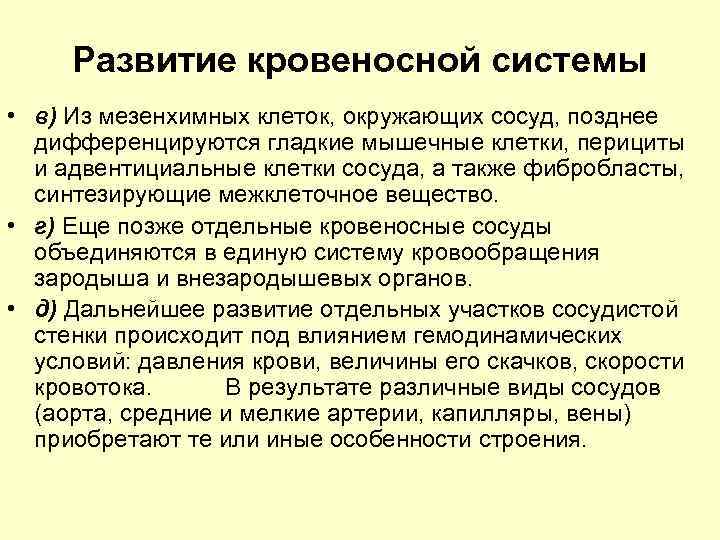 Развитие кровеносной системы • в) Из мезенхимных клеток, окружающих сосуд, позднее дифференцируются гладкие мышечные