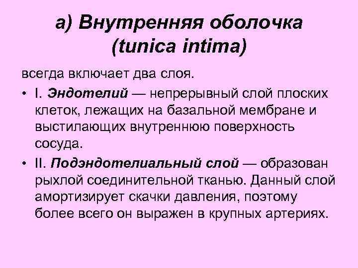 а) Внутренняя оболочка (tunica intima) всегда включает два слоя. • I. Эндотелий — непрерывный