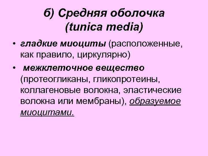 б) Средняя оболочка (tunica media) • гладкие миоциты (расположенные, как правило, циркулярно) • межклеточное