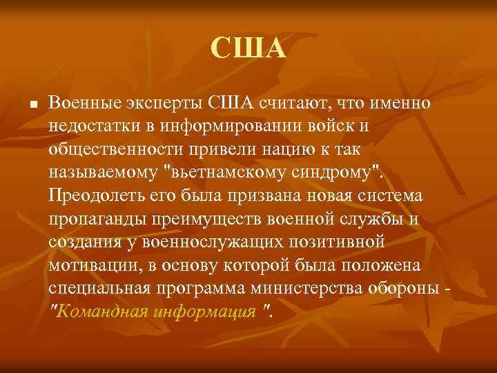 США n Военные эксперты США считают, что именно недостатки в информировании войск и общественности