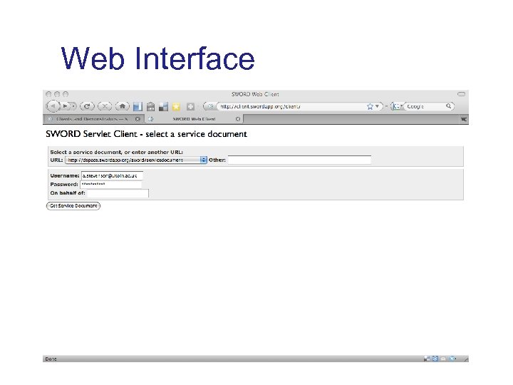 Web Interface 