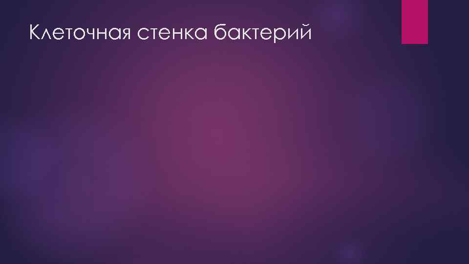 Клеточная стенка бактерий 