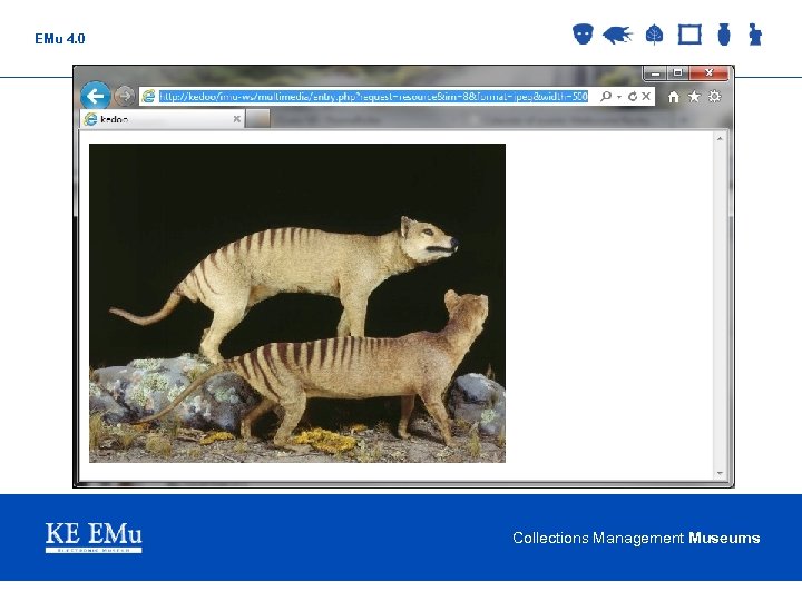 EMu 4. 0 Collections Management Museums 