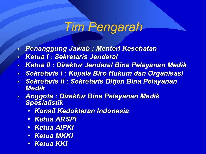 Tim Pengarah • • • Penanggung Jawab : Menteri Kesehatan Ketua I : Sekretaris