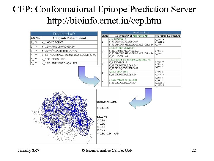 CEP: Conformational Epitope Prediction Server http: //bioinfo. ernet. in/cep. htm January 2 K 7