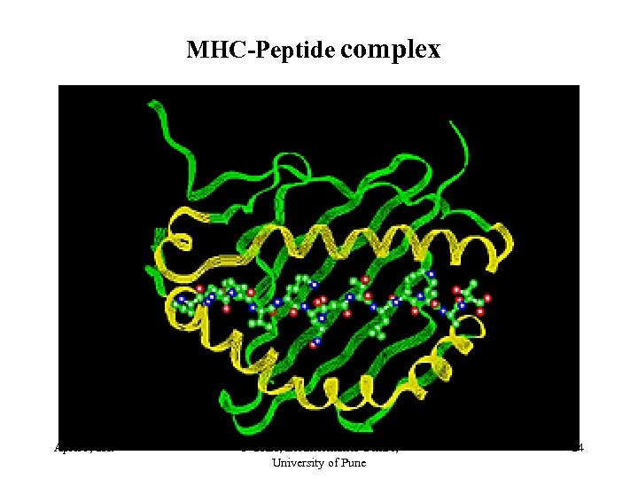 MHC-Peptide complex April 5, 2 K 9 © UKK, Bioinformatics Centre, University of Pune