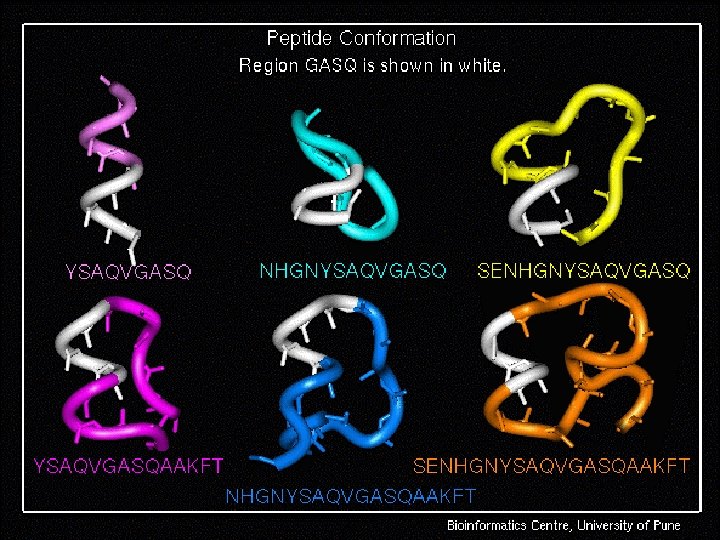 January 2 K 7 © Bioinformatics Centre, Uo. P 56 