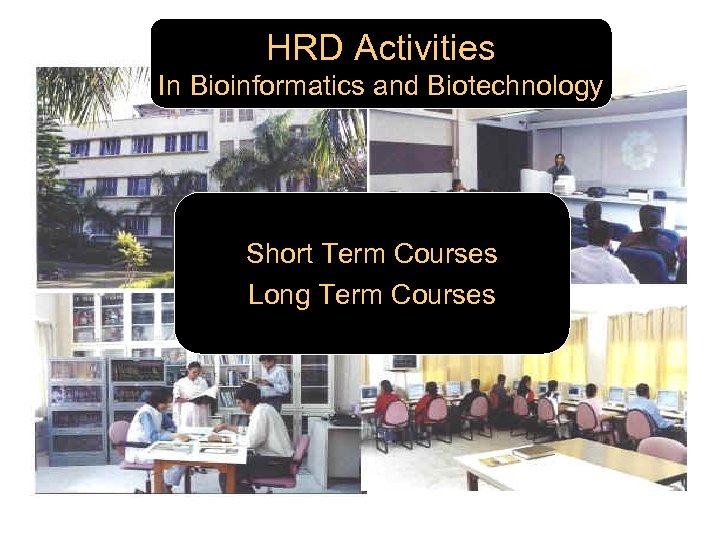 HRD Activities In Bioinformatics and Biotechnology Short Term Courses Long Term Courses 