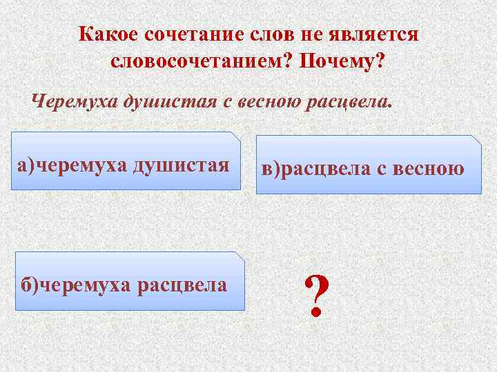 Какое сочетание слов не является словосочетанием? Почему? Черемуха душистая с весною расцвела. а)черемуха душистая