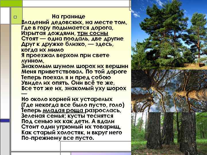 □ На границе Владений дедовских, на месте том, Где в гору подымается дорога, Изрытая
