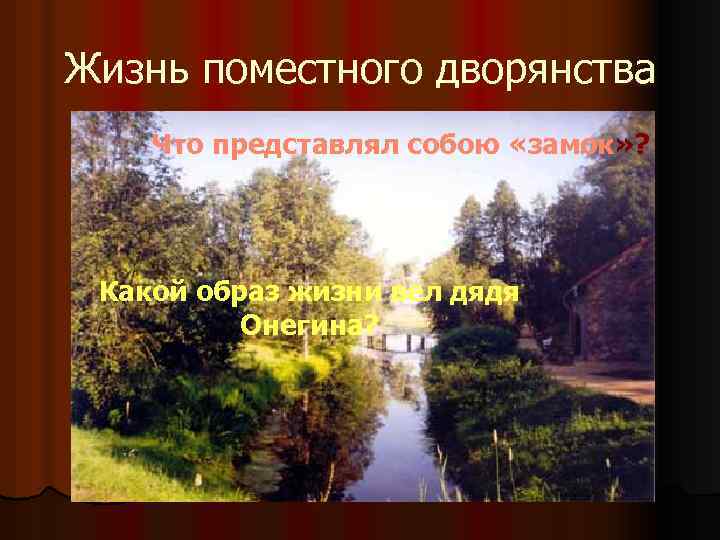 Жизнь поместного дворянства Что представлял собою «замок» ? Какой образ жизни вел дядя Онегина?