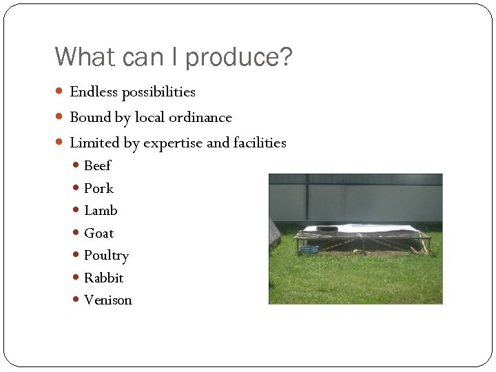 What can I produce? Endless possibilities Bound by local ordinance Limited by expertise and