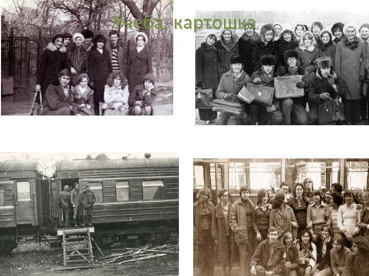 Учеба, картошка 