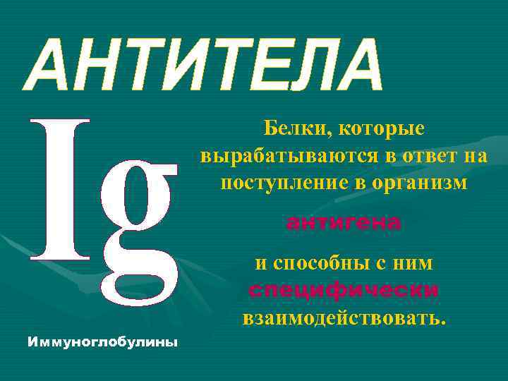 Белки, которые вырабатываются в ответ на поступление в организм антигена и способны с ним