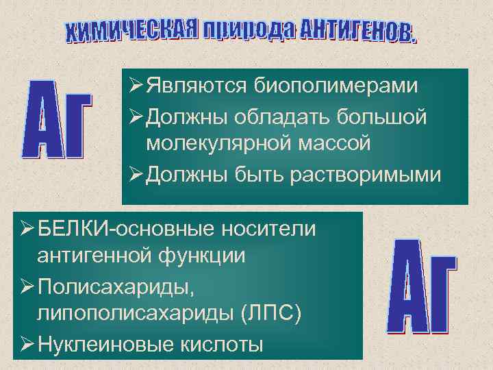 Ø Являются биополимерами Ø Должны обладать большой молекулярной массой Ø Должны быть растворимыми Ø