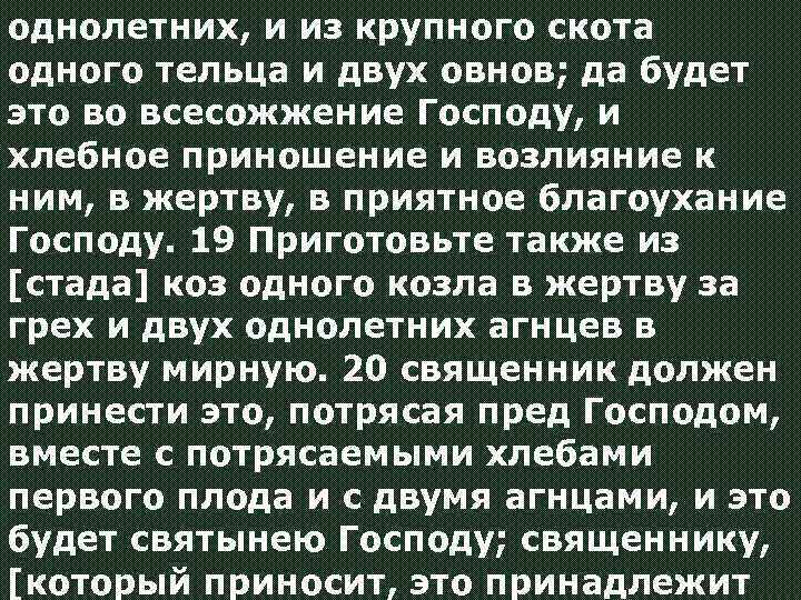 однолетних, и из крупного скота одного тельца и двух овнов; да будет это во