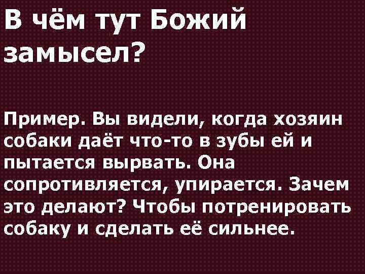 В чём тут Божий замысел? Пример. Вы видели, когда хозяин собаки даёт что-то в