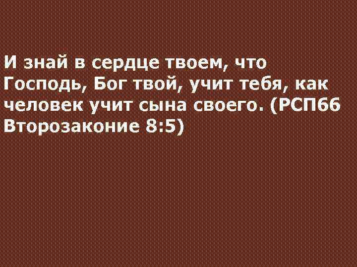 И знай в сердце твоем, что Господь, Бог твой, учит тебя, как человек учит