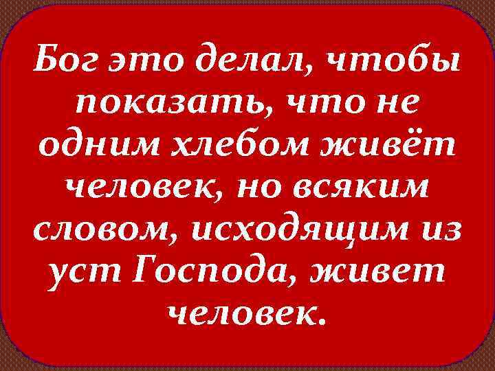 Бог это делал, чтобы показать, что не одним хлебом живёт человек, но всяким словом,