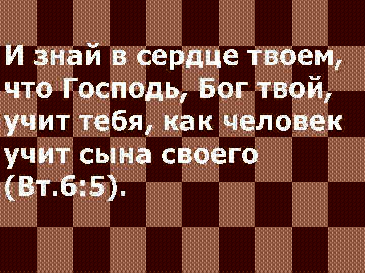 И знай в сердце твоем, что Господь, Бог твой, учит тебя, как человек учит