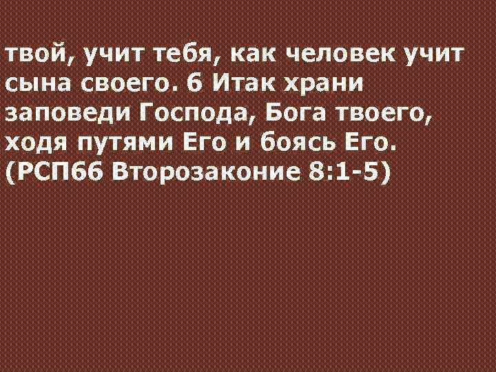 твой, учит тебя, как человек учит сына своего. 6 Итак храни заповеди Господа, Бога