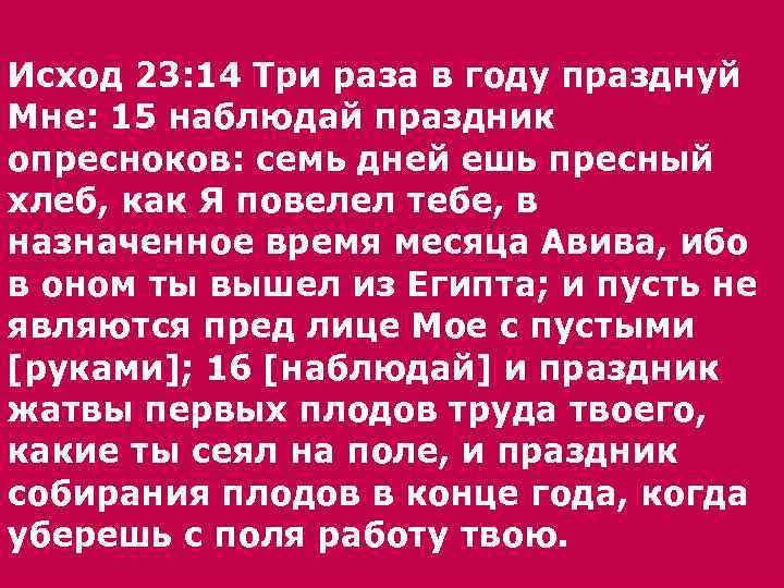 Праздник опресноков 7 день. Исход 23:13. Исход 23:25 Библия. Первый день праздника пресных хлебов.