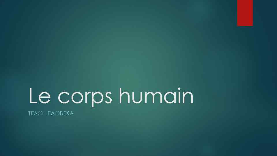 Le corps humain ТЕЛО ЧЕЛОВЕКА 