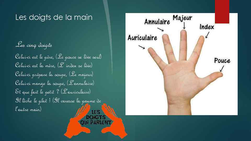 Les doigts de la main Les cinq doigts Celui-ci est le père, (Le pouce
