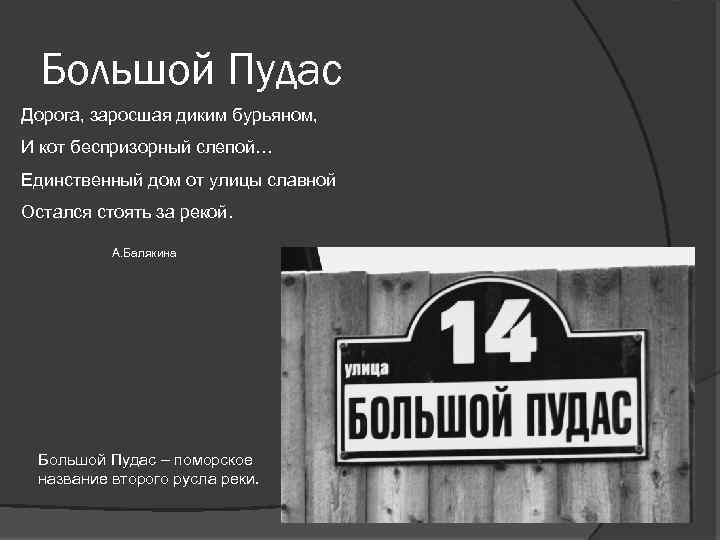 Большой Пудас Дорога, заросшая диким бурьяном, И кот беспризорный слепой… Единственный дом от улицы
