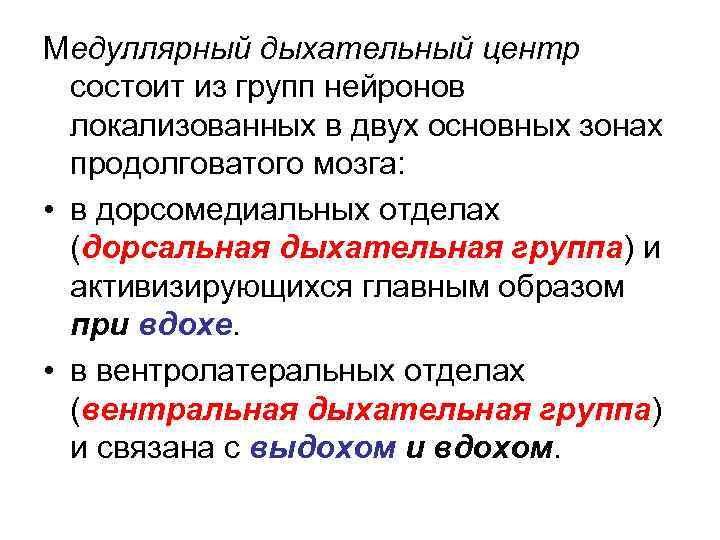 Медуллярный дыхательный центр состоит из групп нейронов локализованных в двух основных зонах продолговатого мозга: