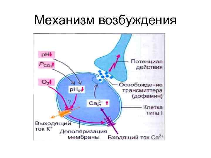 Механизм возбуждения 