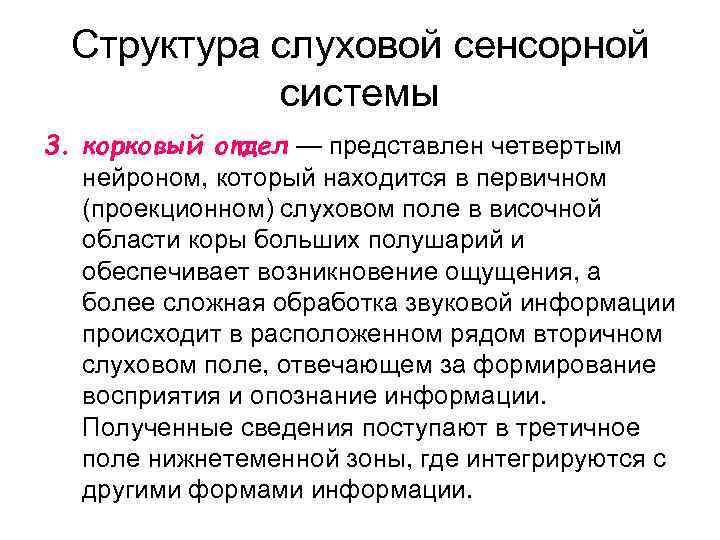 Структура слуховой сенсорной системы 3. корковый отдел — представлен четвертым нейроном, который находится в