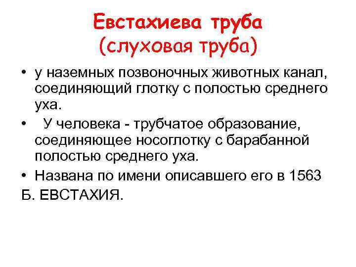 Евстахиева труба (слуховая труба) • у наземных позвоночных животных канал, соединяющий глотку с полостью