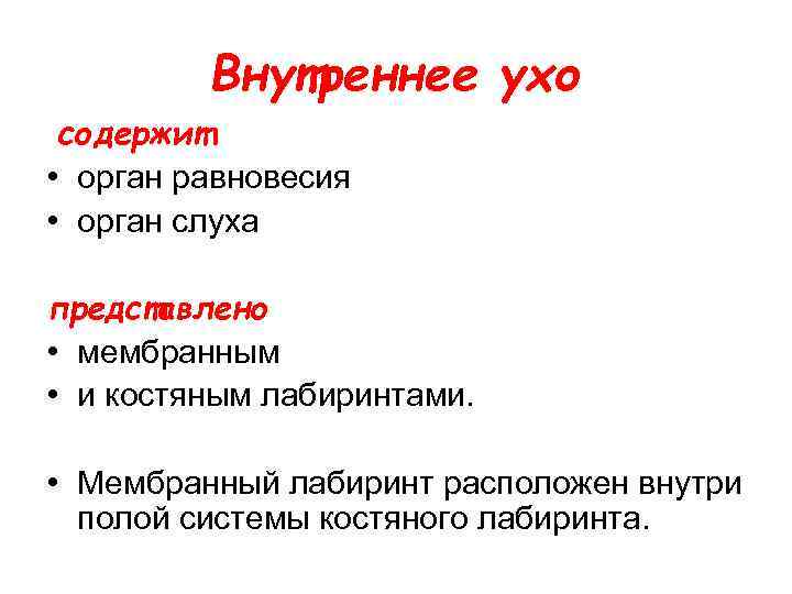 Внутреннее ухо содержит • орган равновесия • орган слуха представлено • мембранным • и