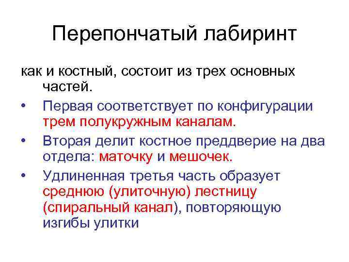 Перепончатый лабиринт как и костный, состоит из трех основных частей. • Первая соответствует по