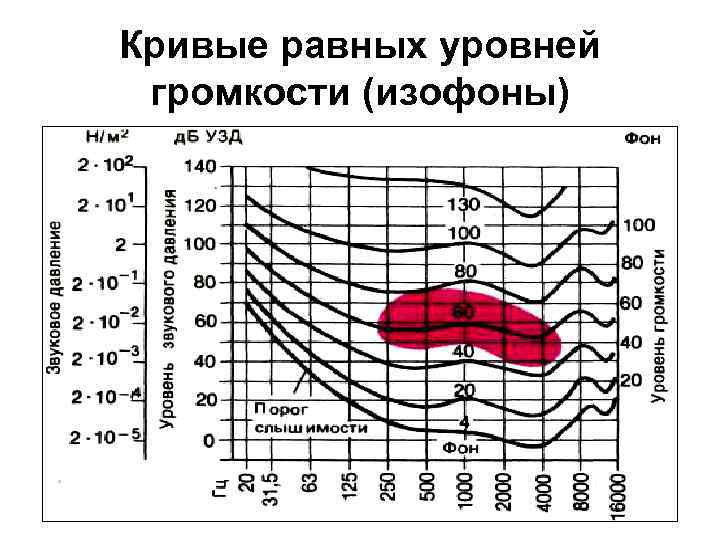 Кривые равных уровней громкости (изофоны) 