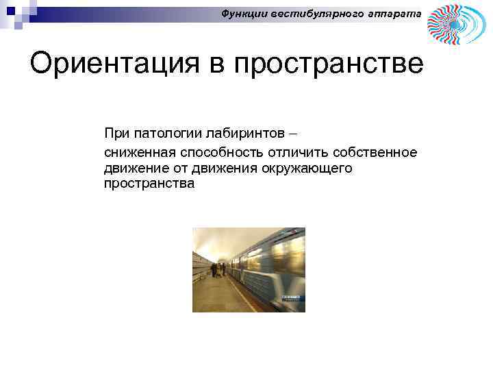 Функции вестибулярного аппарата Ориентация в пространстве При патологии лабиринтов – сниженная способность отличить собственное