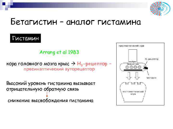 Бетагистин – аналог гистамина Гистамин Arrang et al 1983 кора головного мозга крыс H