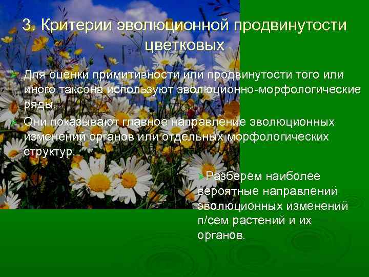3. Критерии эволюционной продвинутости цветковых Для оценки примитивности или продвинутости того или иного таксона